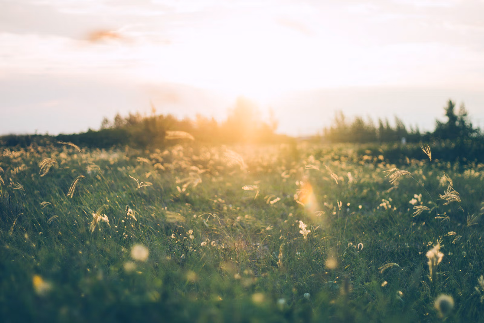 Paysage nature au coucher du soleil, Altitude Massage Pilat au Bessat